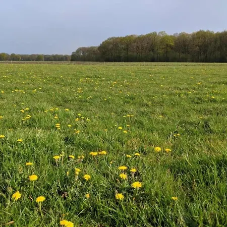 Beautiful Holiday Home On The Belgian Border * Baarle-Nassau